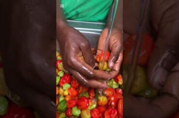 Come with me let rinse tomatoes and peppers I bought from the market #lifestylevlog #proudmother