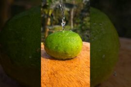 Lemon Chili Pickle Recipe 🌶️| spicy masala lemon ❤️‍🔥||