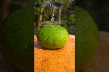 Lemon Chili Pickle Recipe 🌶️| spicy masala lemon ❤️‍🔥||