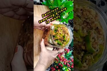 🌶️#instant bullet chilli pickle recipe #recipes #ytshorts #shortsreel #Hina's magic