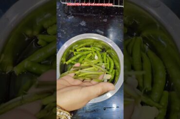 green chilli sauce 😋🫙#recipe #subscribe of sananeyajee support #subscribe