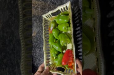 मिर्ची की ये  रेसिपी आप अकेले ही खा जाएँगे #shorts #youtubeshorts #viralvideo #trending