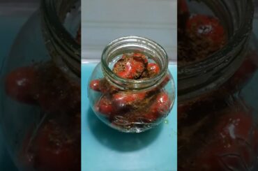 Instant Bharwa Red Chilli Pickle | लाल मिर्च का भरवा आचार | Pickle Recipes |