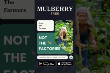 "Lamb and Harissa Chili with Mint Yogurt" From The Farmers Not The Factories