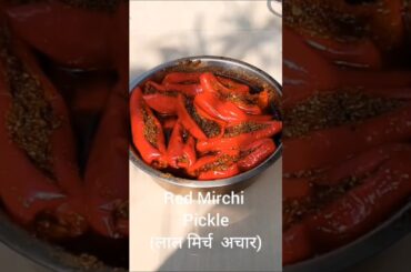 #viral लाल मिर्च अचार || Red Chilli l #method #recipe #blog #vlog #cooking #shorts #viral #trending
