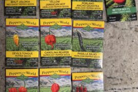 My Sandia selection of seeds for spring