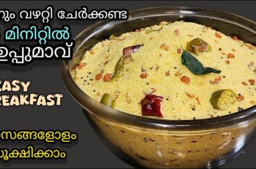 ✅💯ഇത്രയും നാൾ ഇതറിയാതെ പോയല്ലോ ഇങ്ങനൊരു ഉപ്പുമാവ്/ Upma premix  malayalam / Breakfast premix recipe
