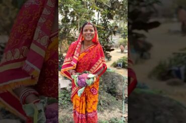 Blue colour fulukubi chilli🤤#shortsfeed #cooking#recipe#viralshort #trandingsong