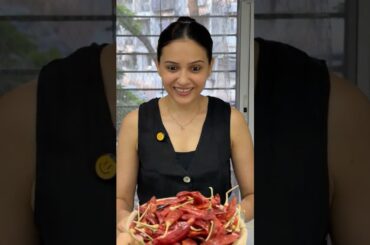 🌶 Chilli Oil | चिली ऑइल