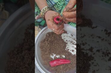 mummy ne gaon me sukhi laal mirch ka achar bnaya !! 🤤🤤 #redchilli #pickle #testy #recipe #shorts