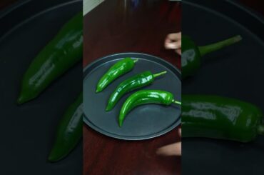 Spicy & Tangy Stuffed Chillies Fry | Bharwa Mirchi Recipe 🌶️ #asmr #shorts #stuffedchilli #foryou