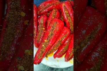 मोटी लाल मिर्च का अचार।Red chilli pickle recipel#ushakirasoi #ytshorts #shorts #lalmirchkaachar