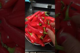 har kam mein aap behtar nahin ho sakte#recipe of Rekha ki raso#short video