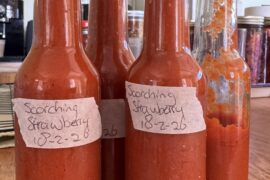 Scorching strawberry I made this morning