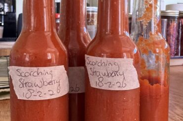 Scorching strawberry I made this morning