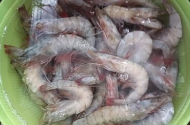 Camarones a la Gobernadora