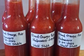 Homemade Blood Orange Habanero Hot Sauce!
