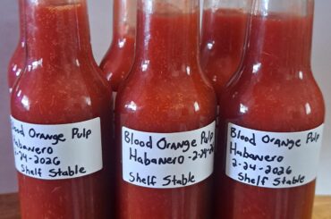 Homemade Blood Orange Habanero Hot Sauce!