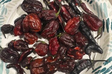 Moruga Blackjack # super spicy