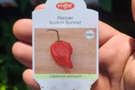 Be careful this season!