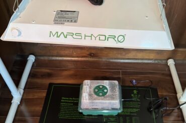 First time growing from seed and im super excited