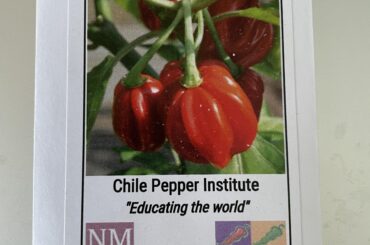 This year’s crop choice.