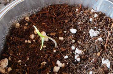 Update on my little guy