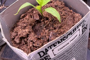 Should I let her grow?