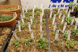 Just getting started