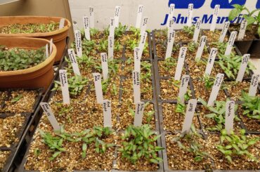 Just getting started