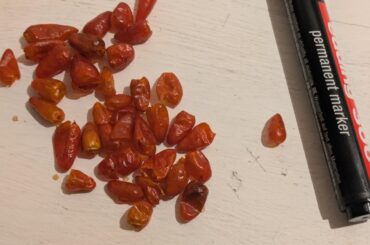 Mexico Market peppers