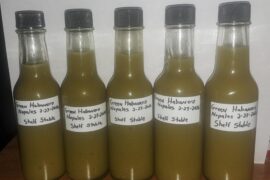Homemade Green Habanero Nopales Hot Sauce!
