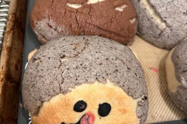 Concha’s animal ( fail) edition