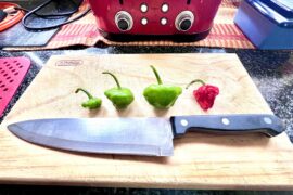Different stages of Red Scotch Bonnet