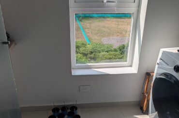 Help: First time growing from seed and in new country(Colombia)