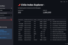 Chile Index