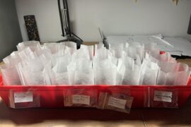 A small batch for my little indoor garden