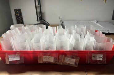 A small batch for my little indoor garden