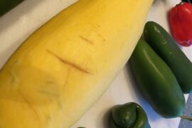 Poor little guy. Suffering from performance anxiety.