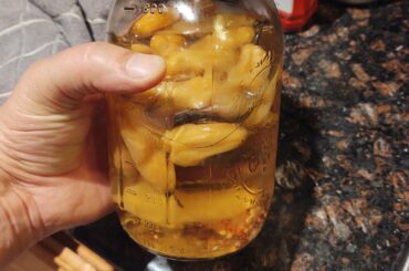 Since everyone has been posting their sugar rush peach peppers....