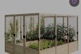 My first pepper grow