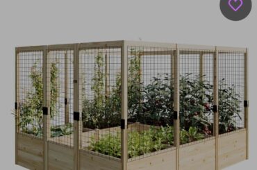 My first pepper grow