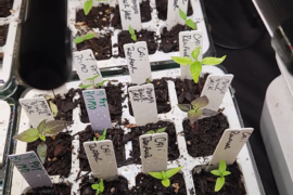 I don't know if I bit more than I can chew on this one