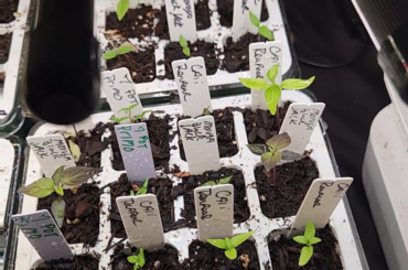 I don't know if I bit more than I can chew on this one