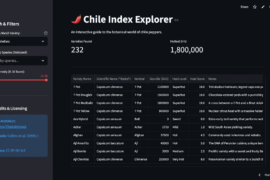 Chile Index