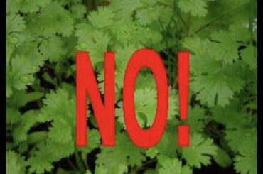 Happy International Fuck Cilantro Day!