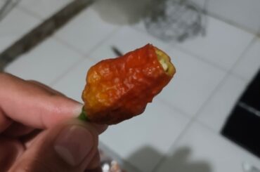 Trying the (allegedly) Leviathan Gnarly Scorpion