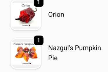 More seeds (up to 100 now)