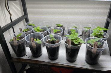 My first year!