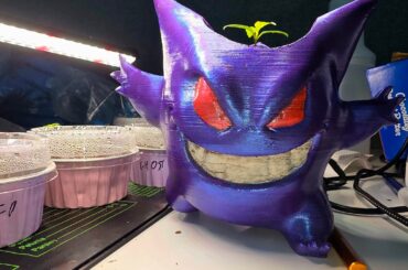 Was able to transfer my ghost into a ghost